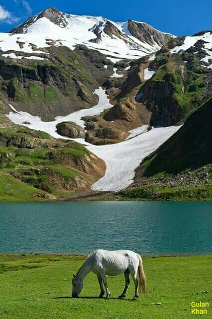 55499b21f183aa4c3f9cde4cc59877ac